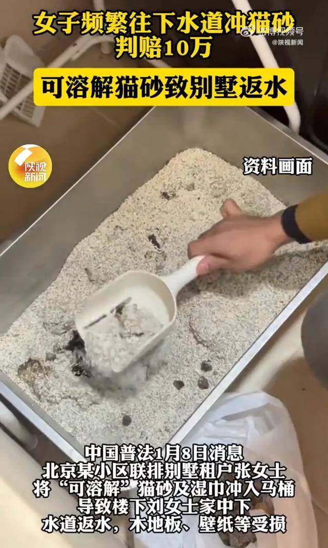 女子频繁往下水道冲猫砂判赔10万可溶解猫砂致别墅返水